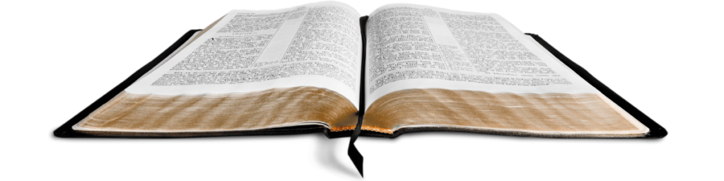 Random Bible Verse Generator